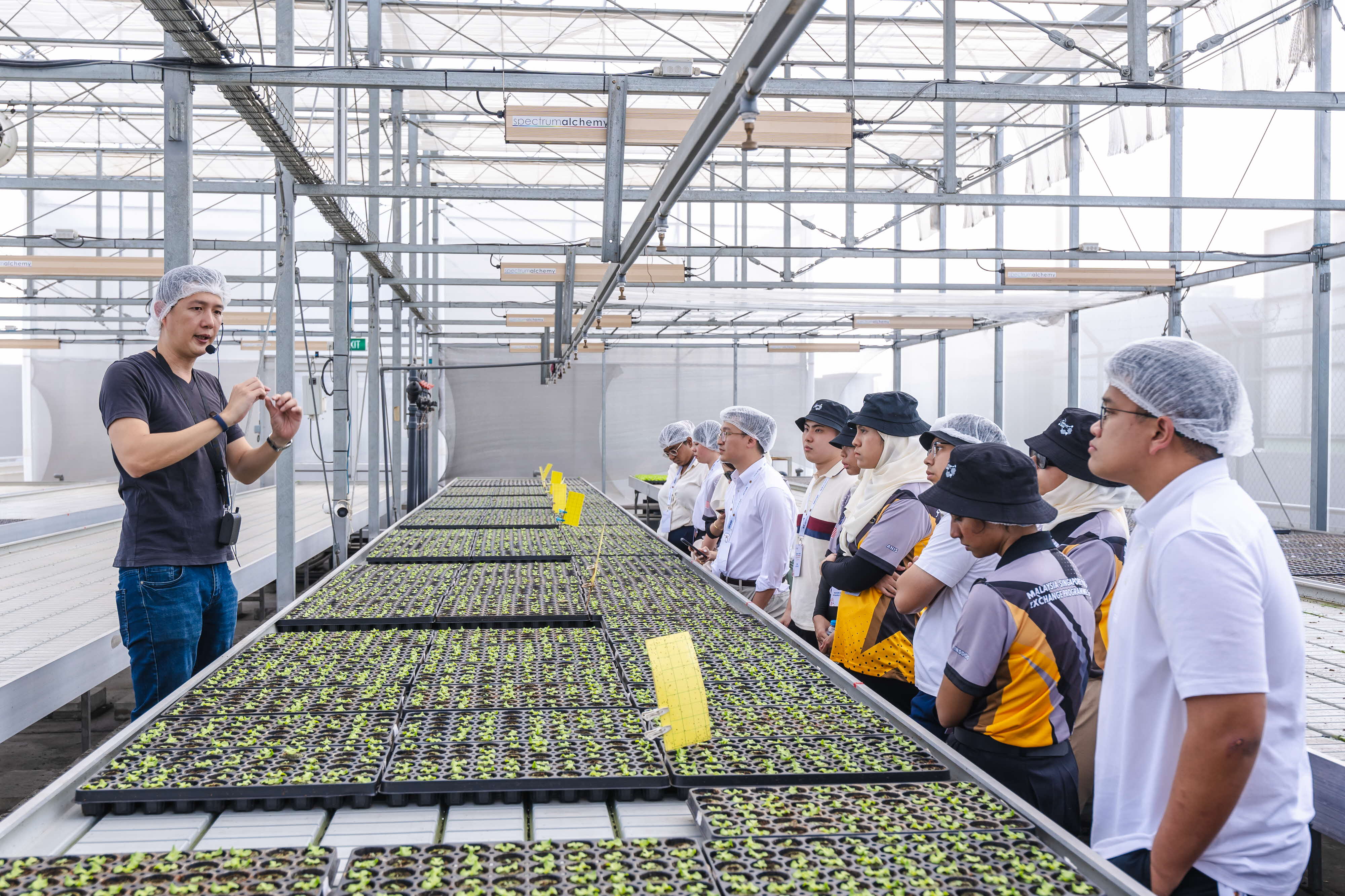 Group of people listening to a guide at a factory setting.